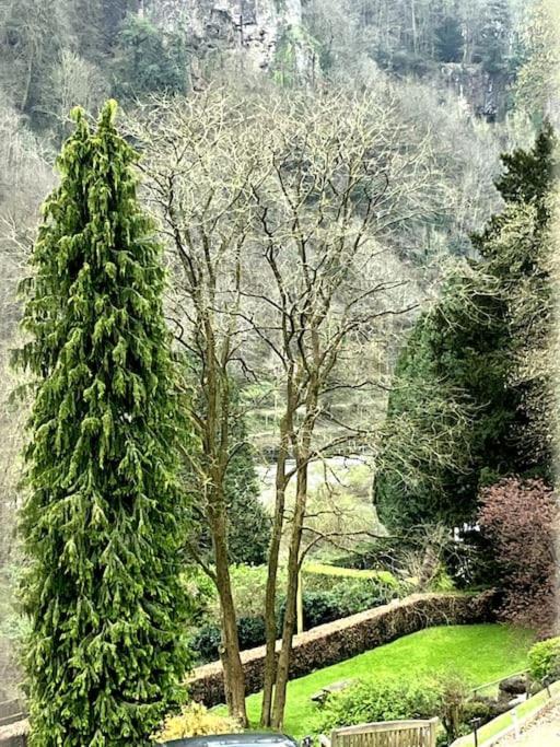 10 Wye Rapids Cottages Symonds Yat Exterior photo
